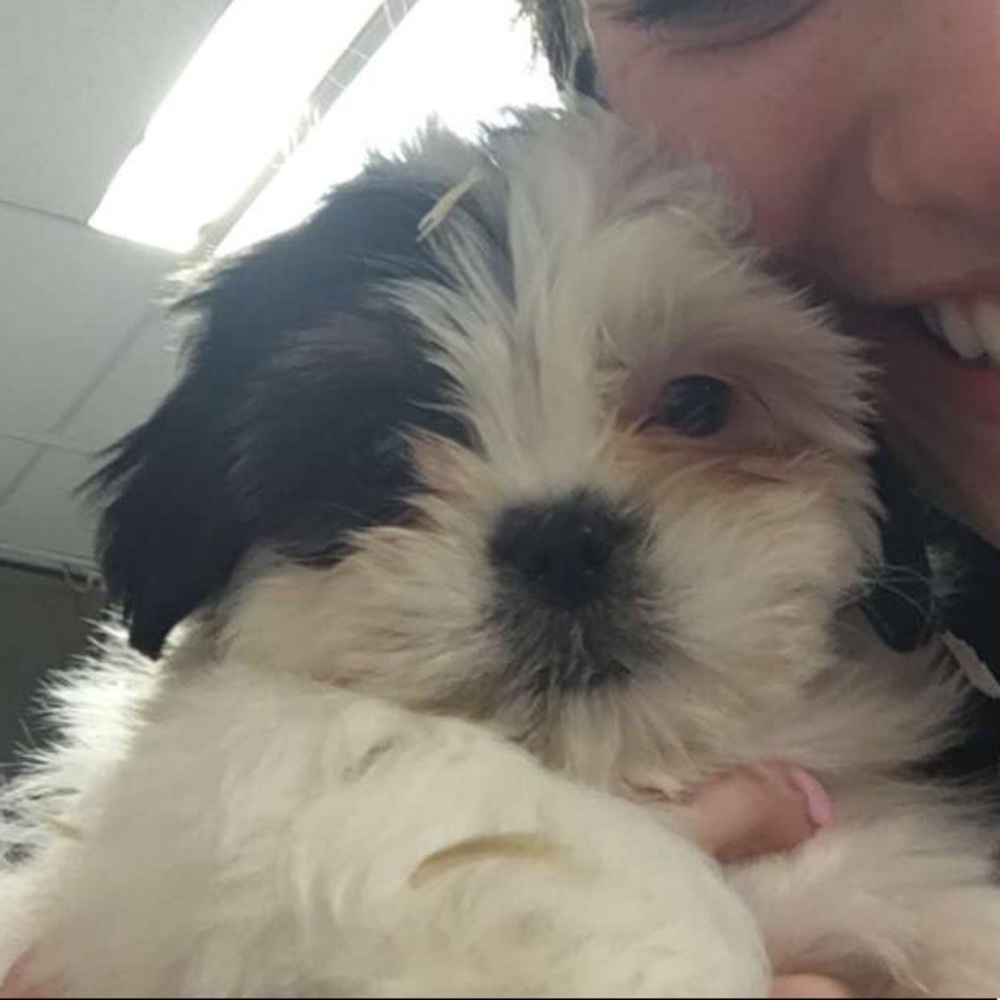 Meet your Posher, Olivia